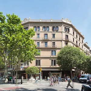 Oliva Casa de hóspedes